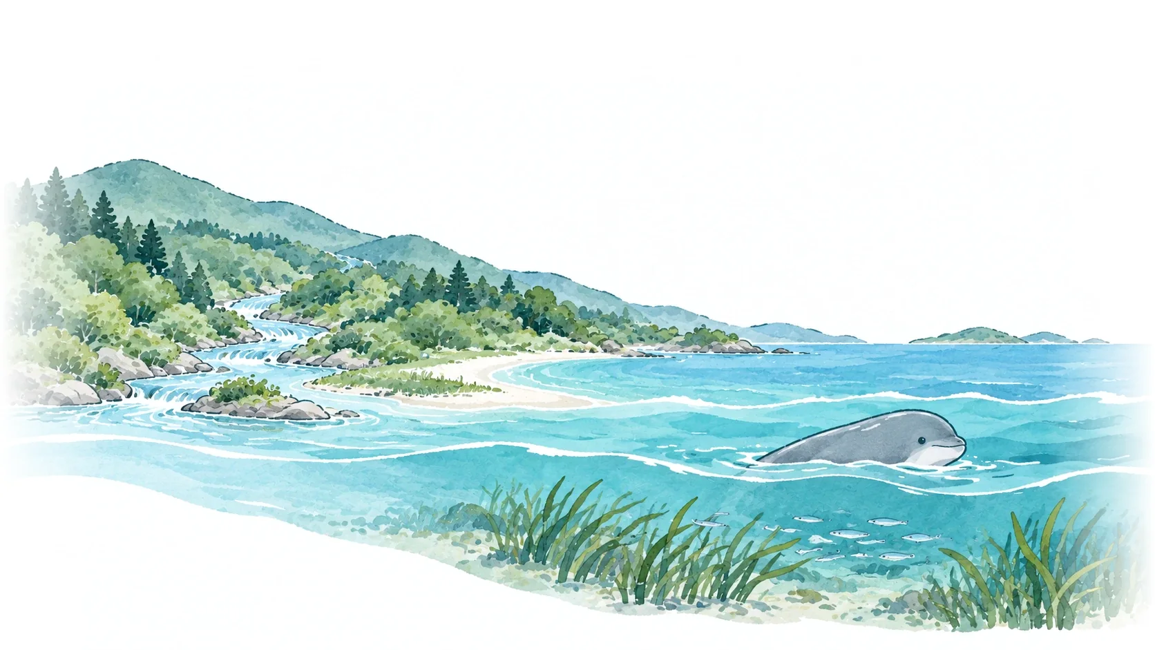 森から川が海へ流れ、海でスナメリと小魚が泳ぐイラスト